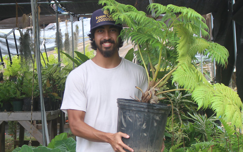 Native Hawaiian Farmers Encouraged to Apply for Renter and Homebuyer Programs