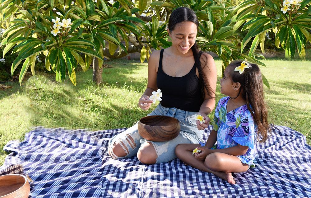 Hawaii Community Lending, Grants, Loans, investing in Hawaii invest Hawaiian Borrowing & Home Loans