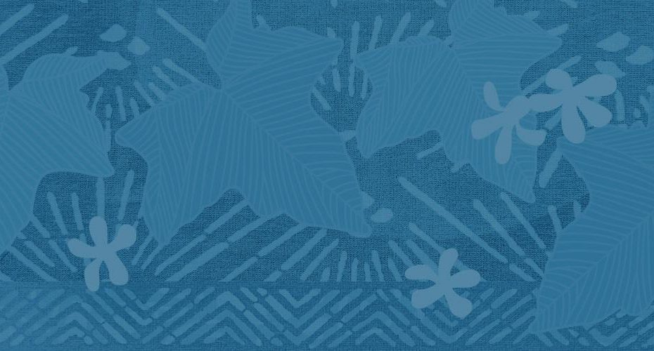 Hawaii Community Lending (HCL) provides financial assistance in the State of Hawaii to lessees who reside on Hawaiian Home Lands to promote housing stability and prevent lease cancellation.