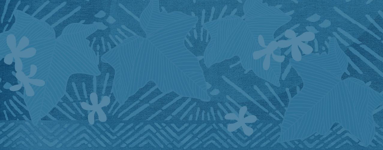 Hawai‘i Community Lending offers assistance for federal employees impacted by shutdown [ Big Island Now ]