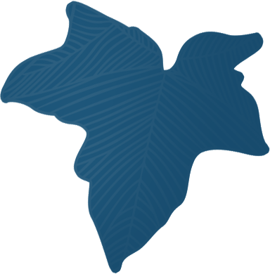 Hawaii Community Lending (HCL) provides financial assistance in the State of Hawaii to lessees who reside on Hawaiian Home Lands to promote housing stability and prevent lease cancellation.